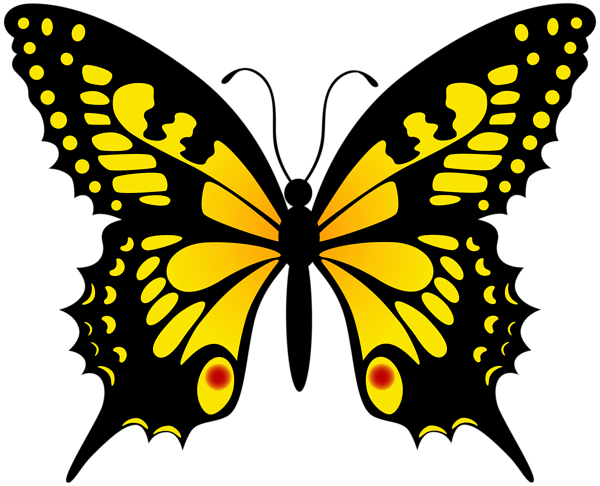 Butterfly Left